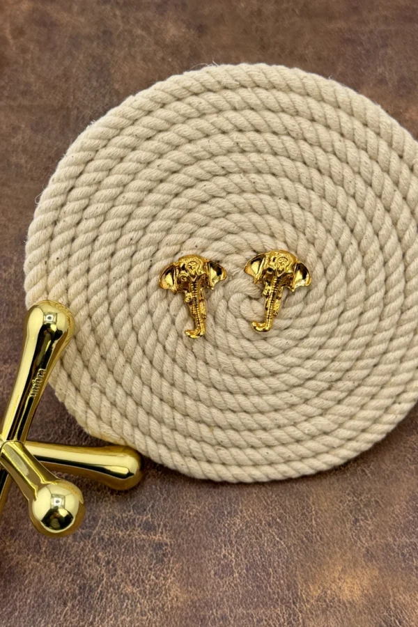The-Grace-of-Ganesha-earrings-crafted-in-18k-gold-plated-bronze